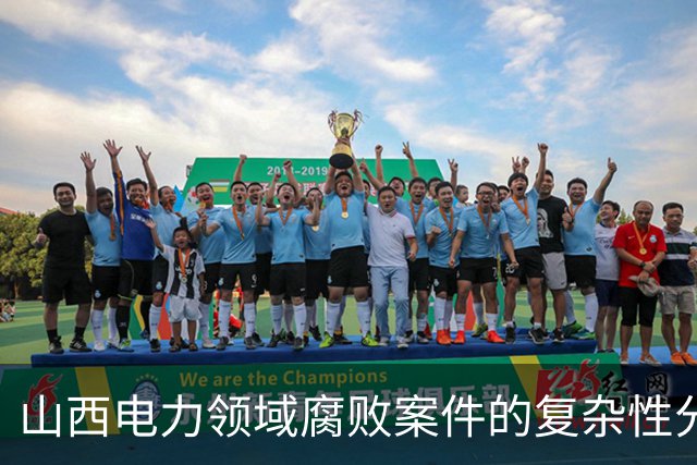 山西电力领域腐败案件的复杂性分析：以焦荣幸为例